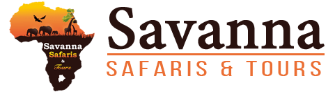 Savanna Safaris