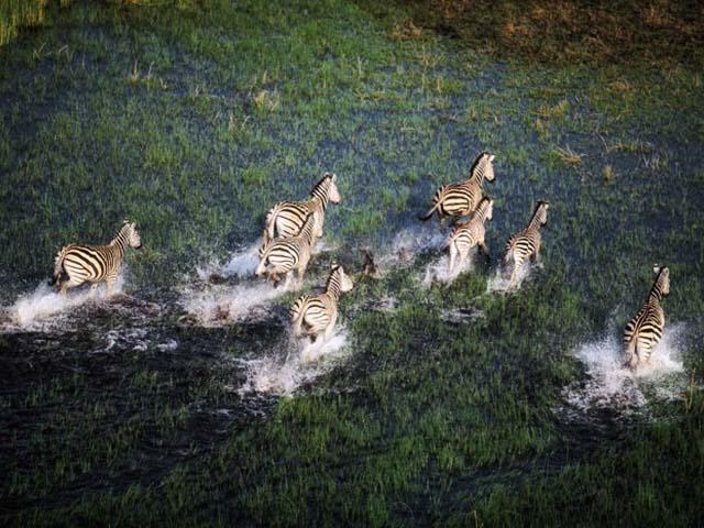 okavango_0002s_0006_Botswana_okavango_delta