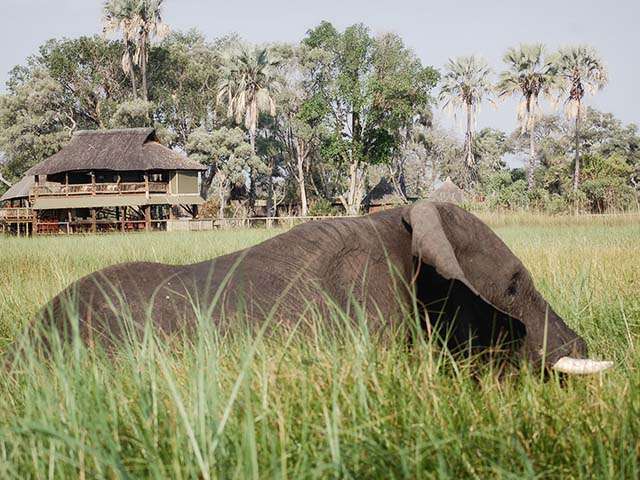 Botswana Camping Safari