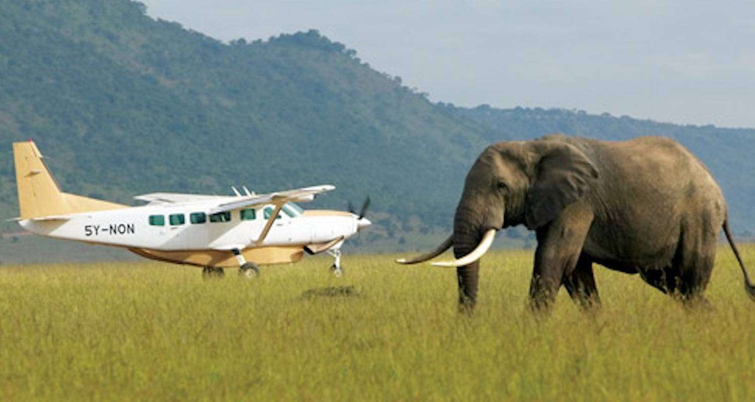 Fly-Safari Deal