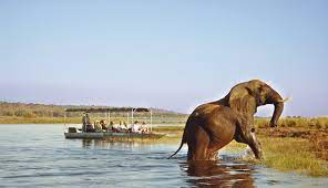 Chobe National Park