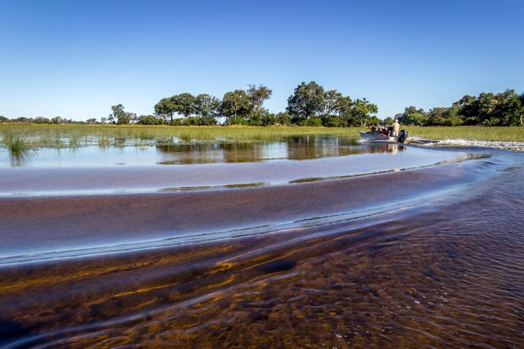 Best Places to See Wildlife in Africa